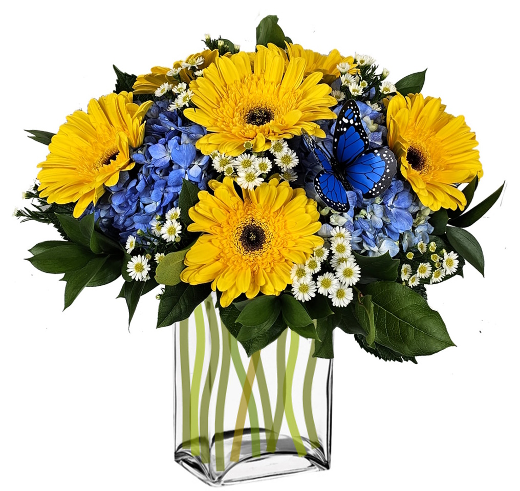 Sunshine and Blue Skies W/ Butterfly Colorado Springs Florist │ Flowers
