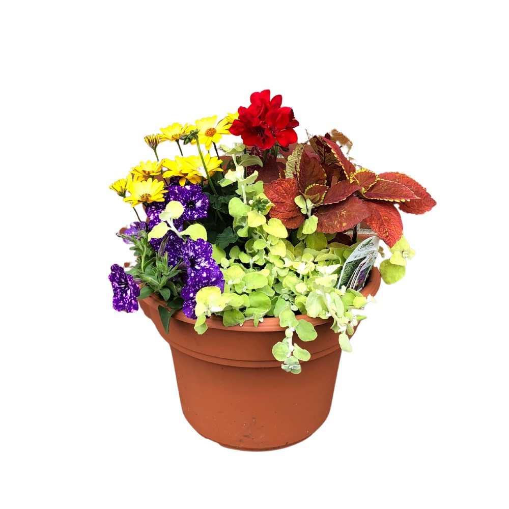 Patio Pot Flower Delivery Ottawa IL Blythe Flowers
