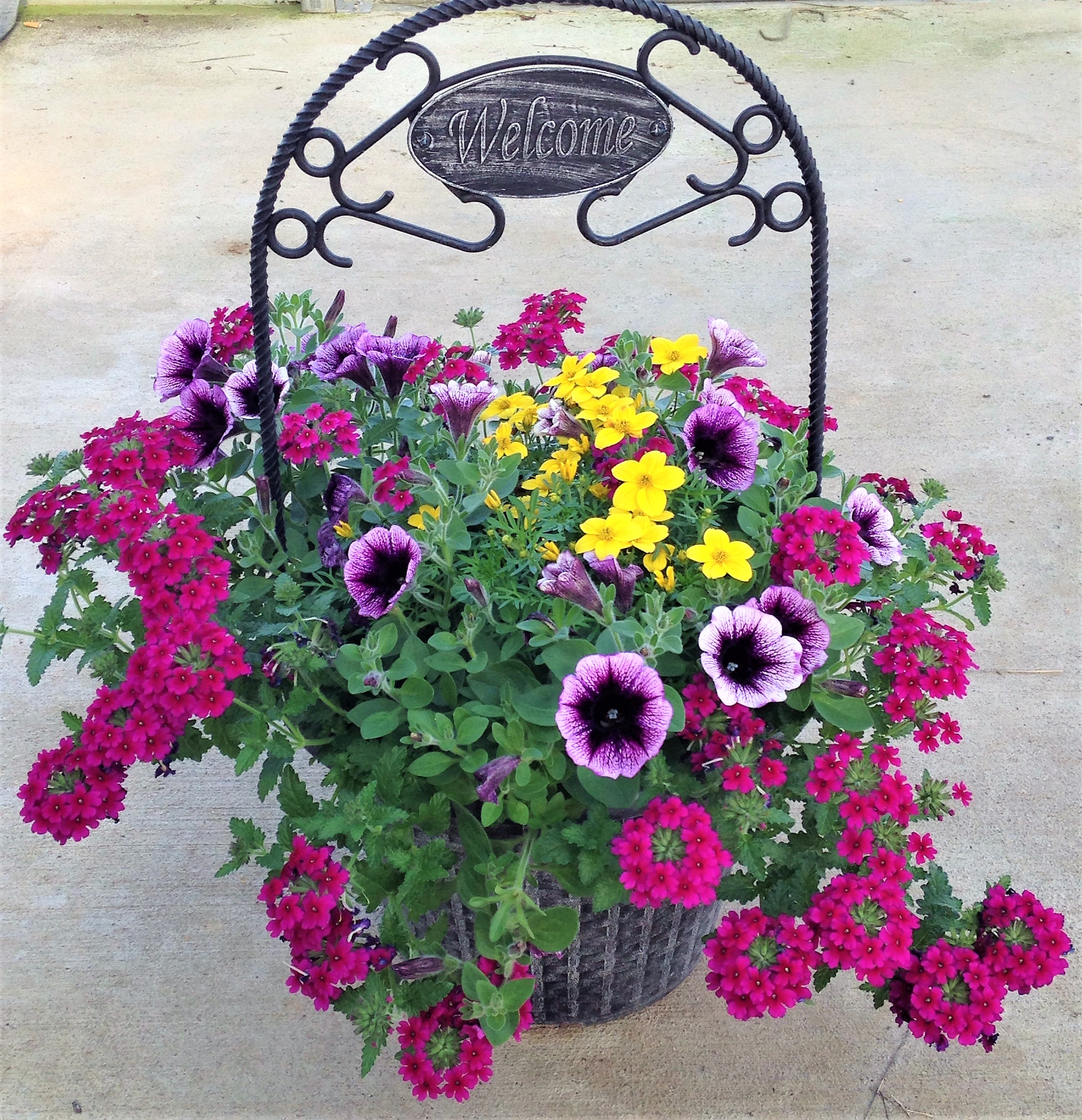 POT Flower Delivery Gallipolis OH Basket Delights Florist & Gifts