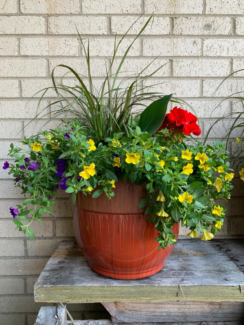 Small Spring Outdoor Garden Planter Flower Delivery Geneva IL Town