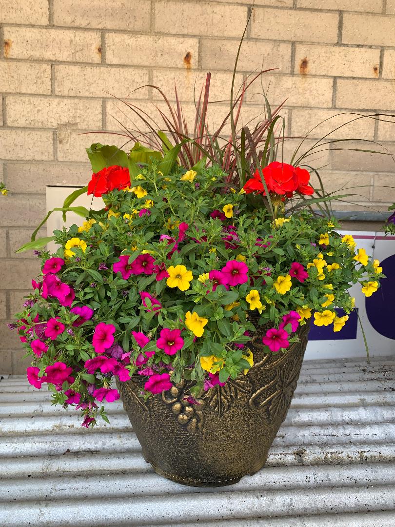 Medium Outdoor Planter Flower Delivery Geneva IL Town & Country Gardens