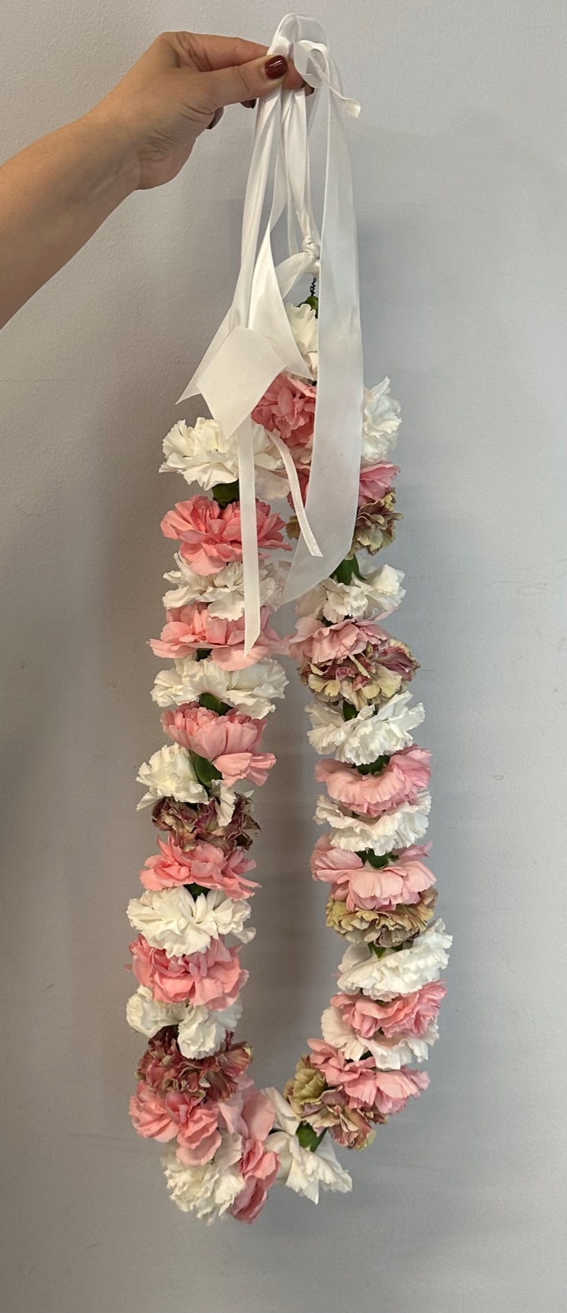 Leis