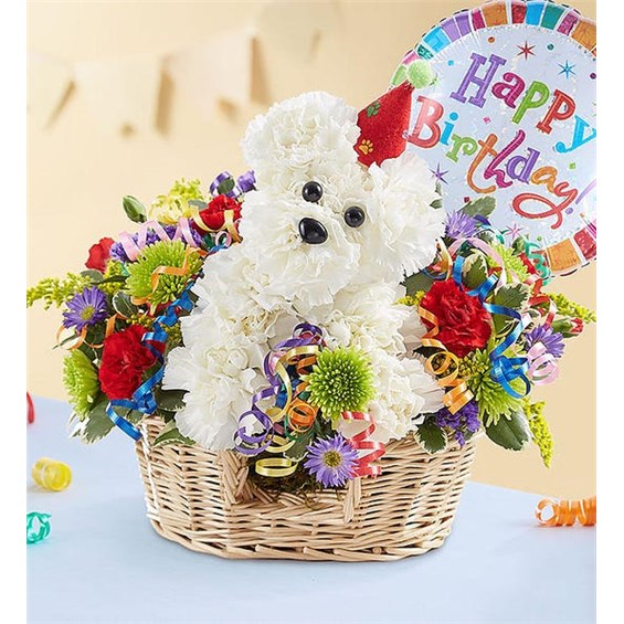 Another Year Rover Midland, TX