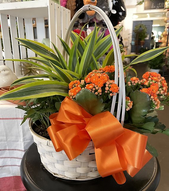 Bountiful Basket Flower Delivery Lynchburg VA Blooms by Doyles