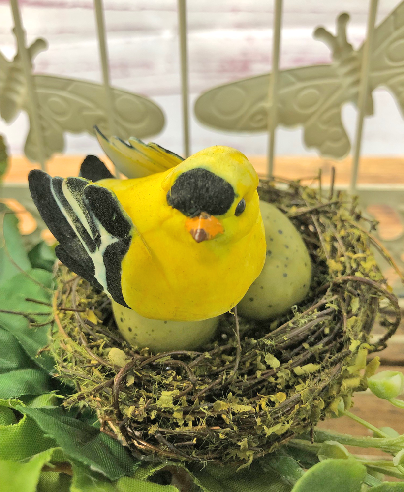 Bird Cage Floral Albiesfloral - Niles, OH Florist