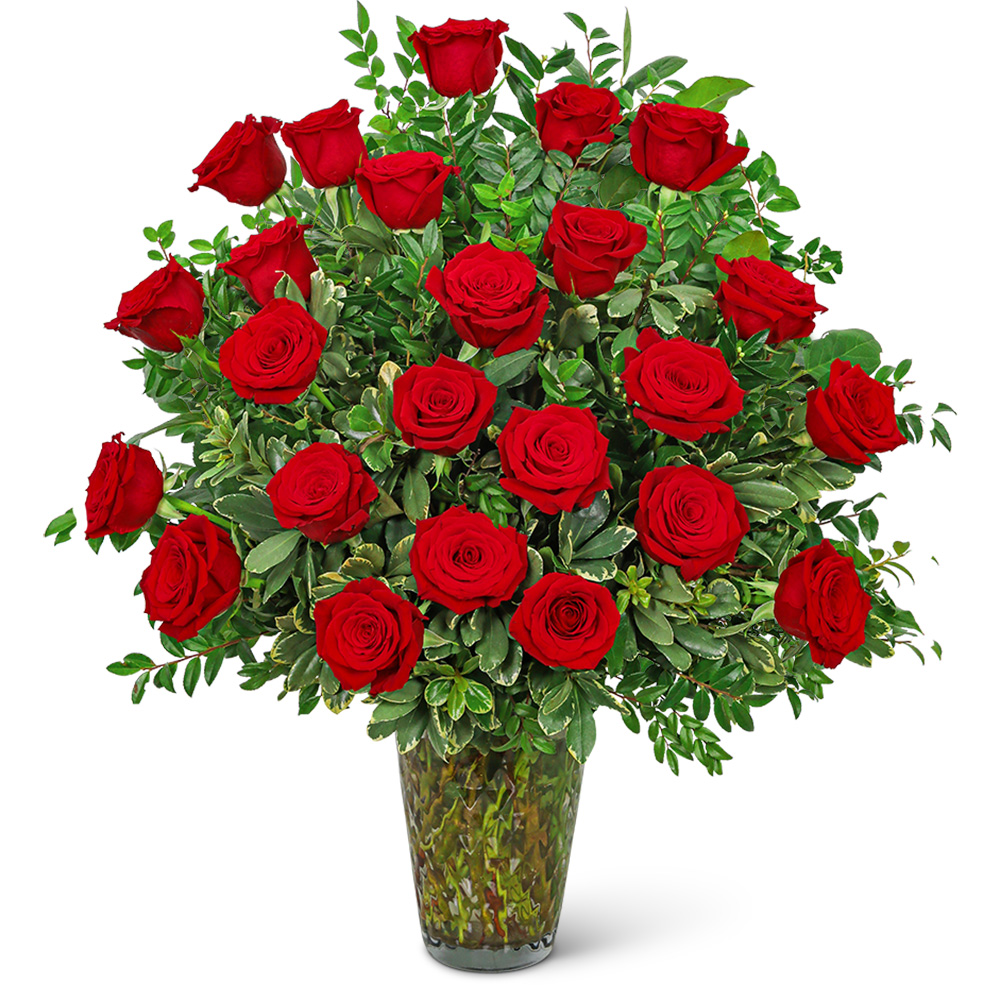 Two Dozen Elegant Red Roses Flower Delivery St Louis MO - Irene's