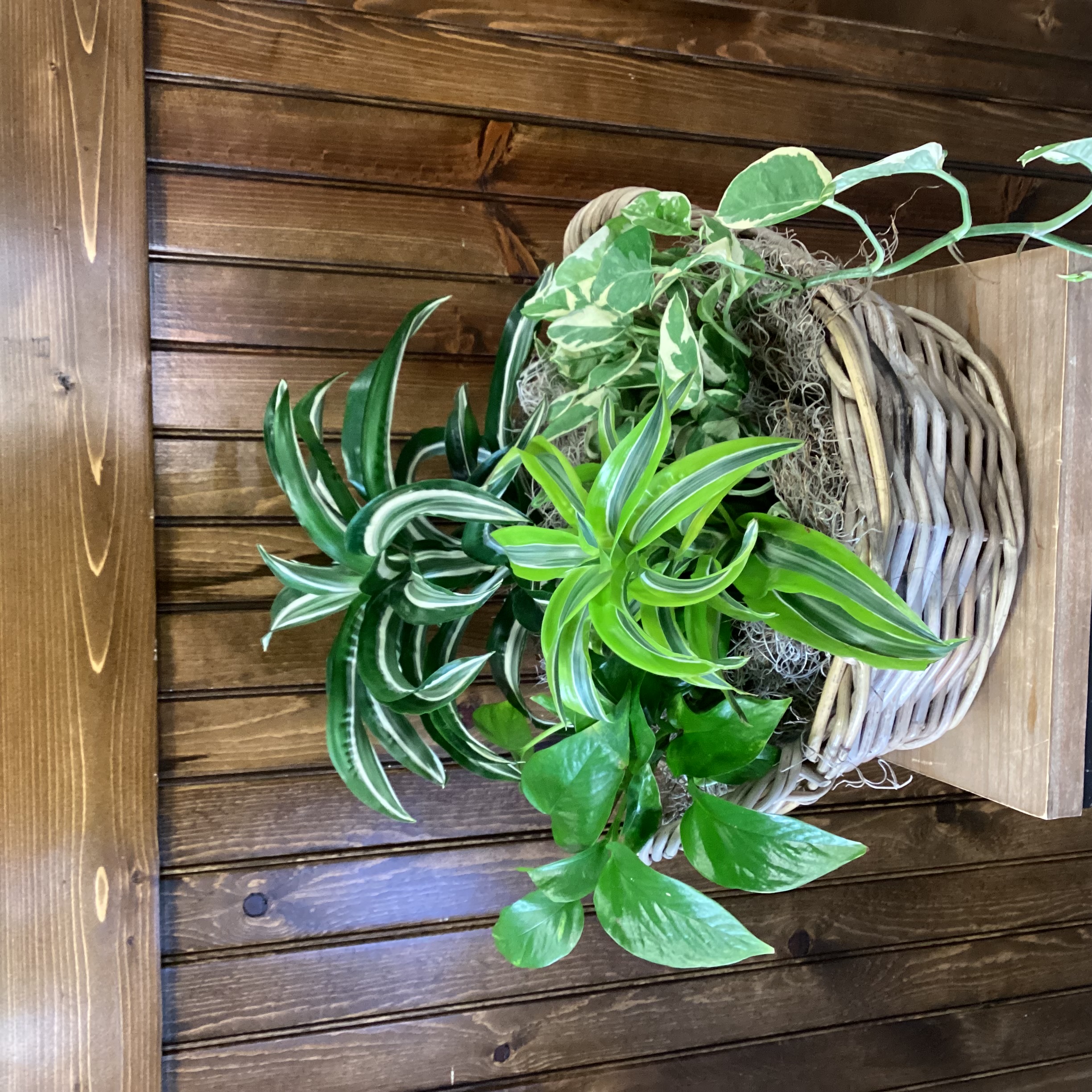 Garden Basket Tribute
