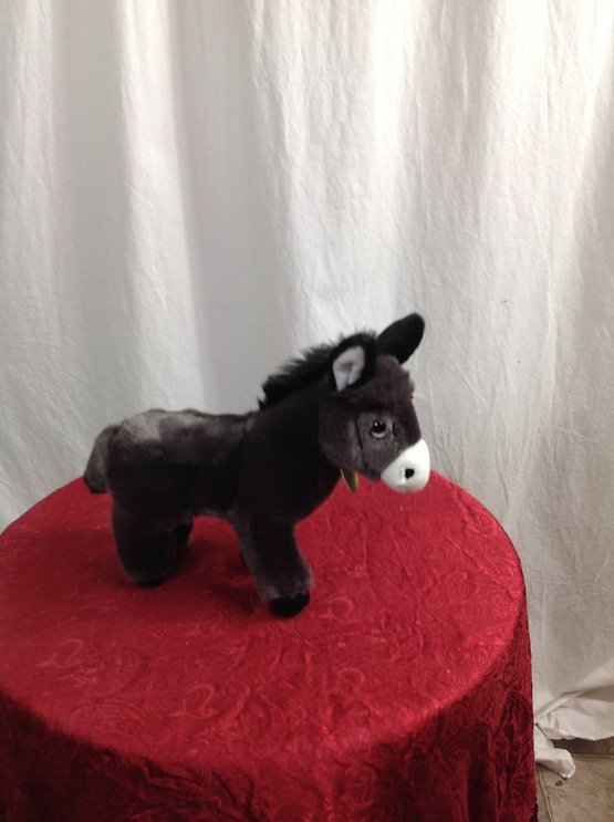 Donkey Foal