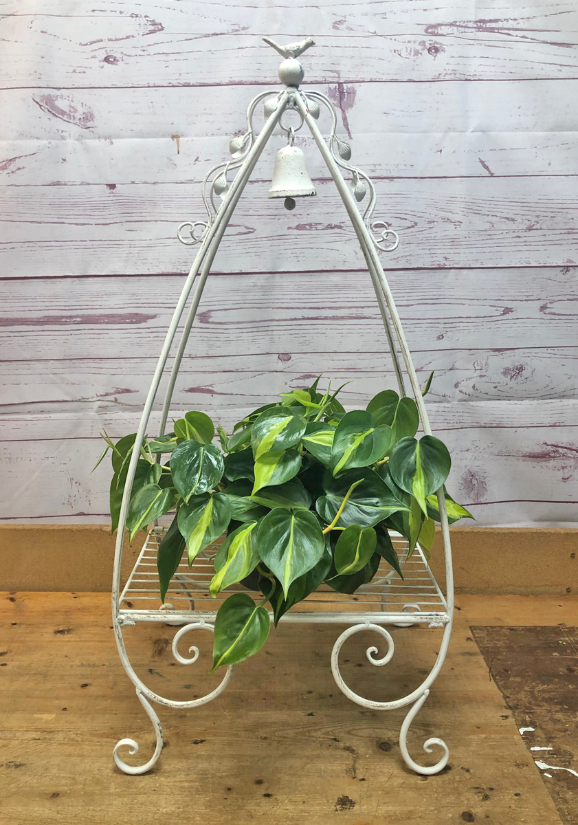 Bird and Bell Metal Plant Stand in Edwardsville, IL | Goff and