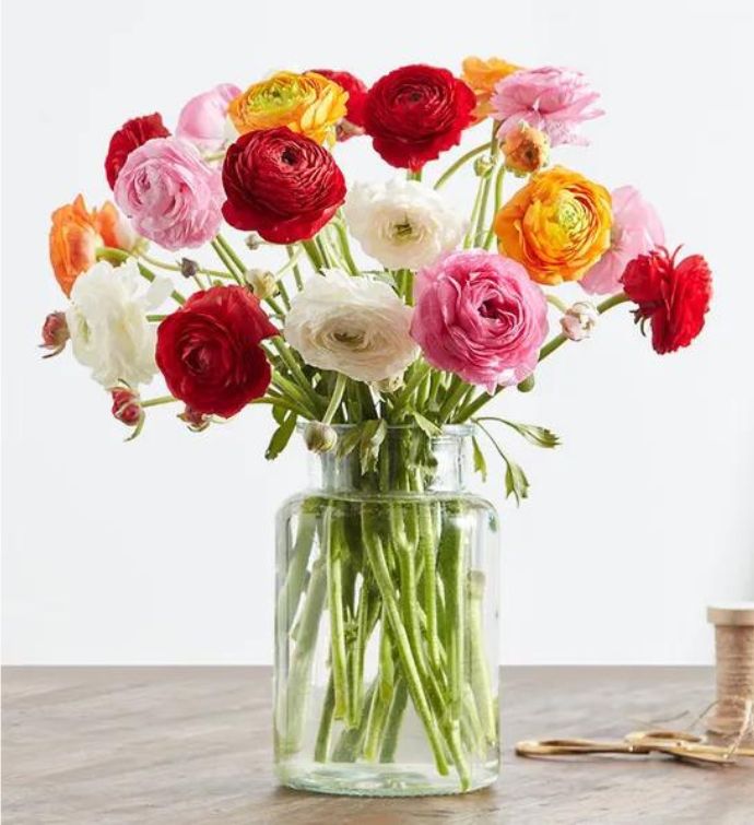 Happy Birthday Assorted Roses, 12-24 Stems