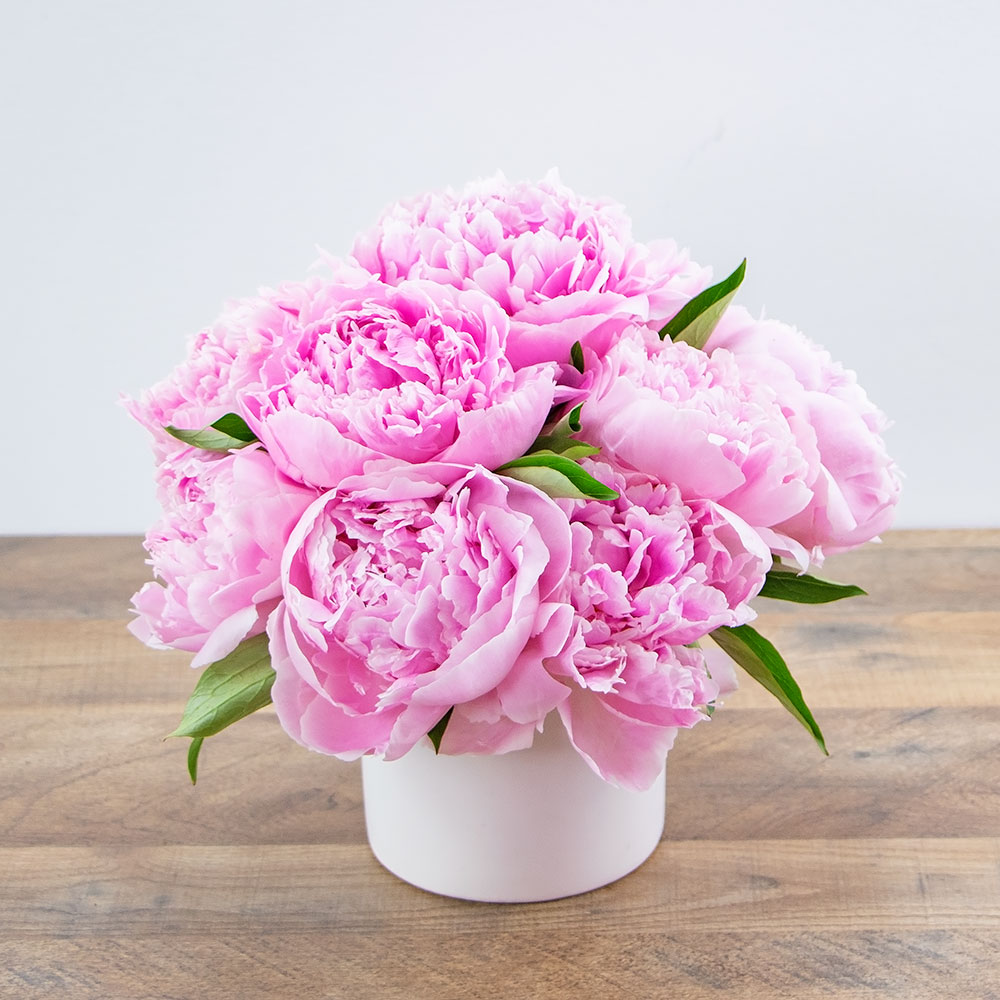 Peony Paradise Flower Delivery Collierville TN - A Perfect Bloom