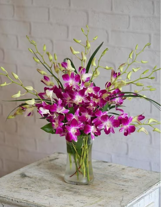 Orchid Oasis Flower Delivery Austin TX William Paul Floral Design