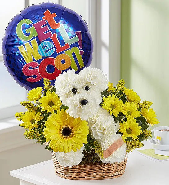 Get Well Flower Delivery Chattanooga TN Chattanooga Florist