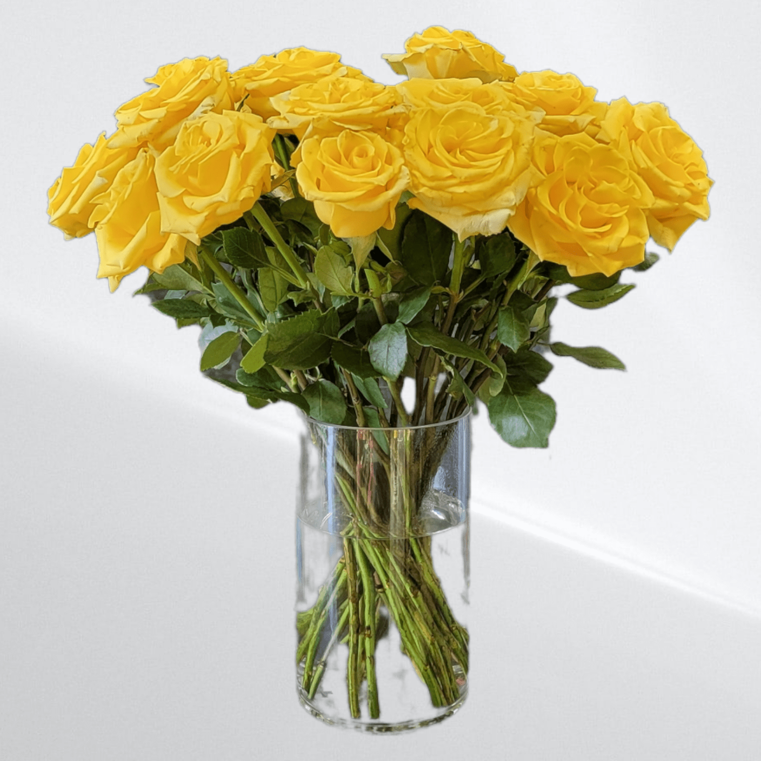 CLASSIC YELLOW ROSES Flower Delivery Las Vegas NV Vegas Rose Flowers