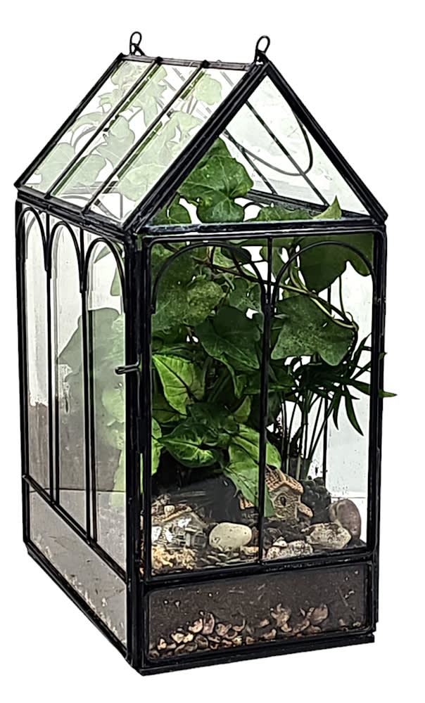 Glass Terrarium Colorado Springs, CO Plants