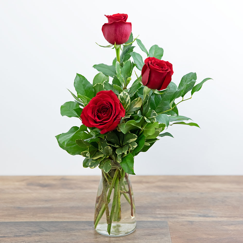 Red Roses (3) Flower Delivery Torrington WY - The Flower Shoppe