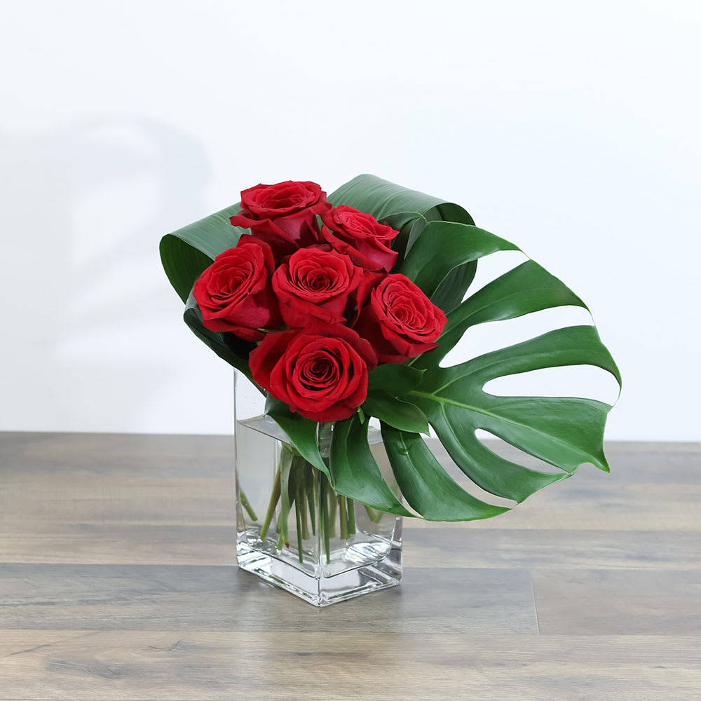Modern Roses (6)