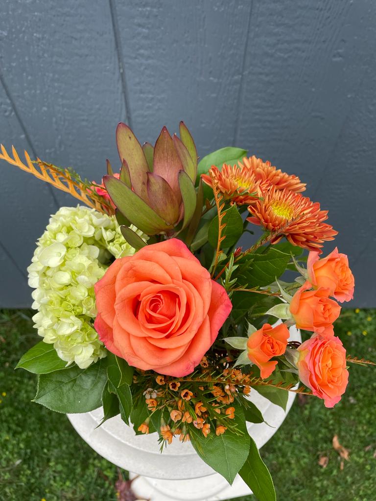 Trick or Treat! Flower Delivery Alexandria VA Foxglove Flowers LLC