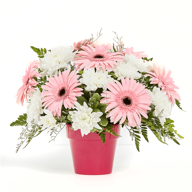 Lively Blooms Flower Delivery London ON Forest of Flowers