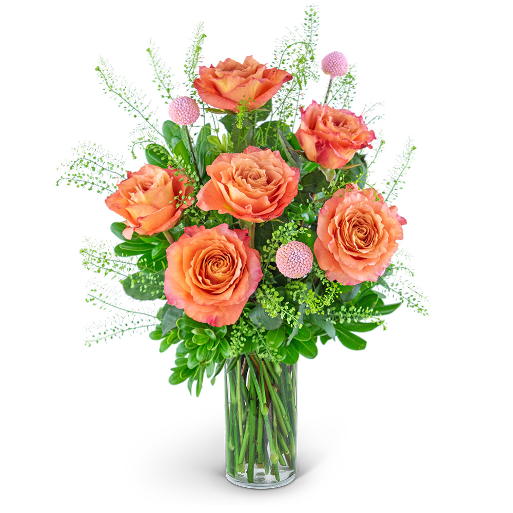 Best Sellers Flowers Delivery St Louis