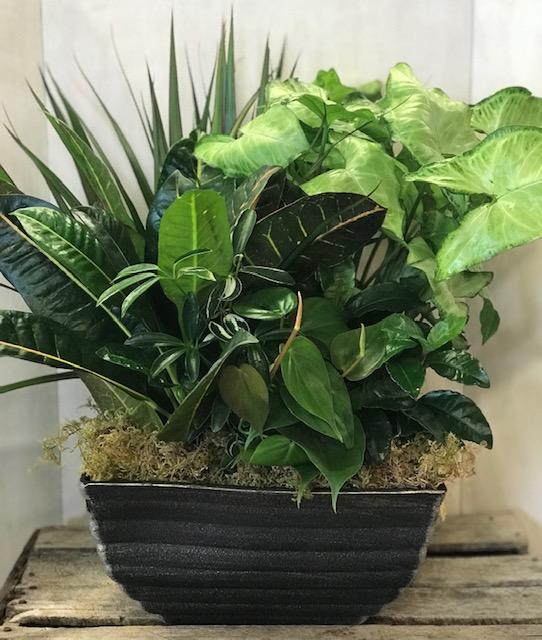 Sympathy Flower Delivery Berlin OH Petals & Co. Floral Design