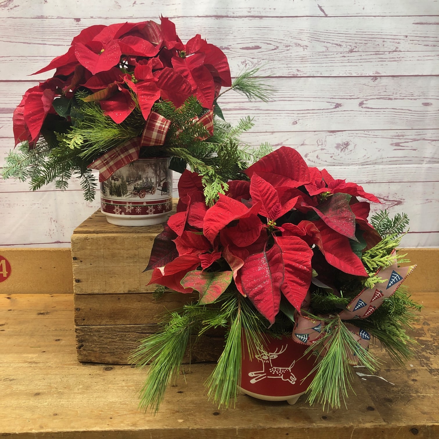 Poinsettia flower arrangements deals