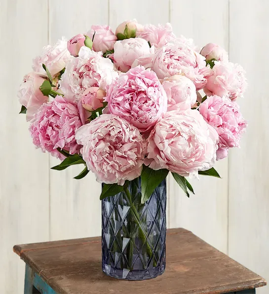 Partial View Florist Making Bouquet Beige Roses Peonies Workspace Stock  Photo by ©AntonMatyukha 244740716