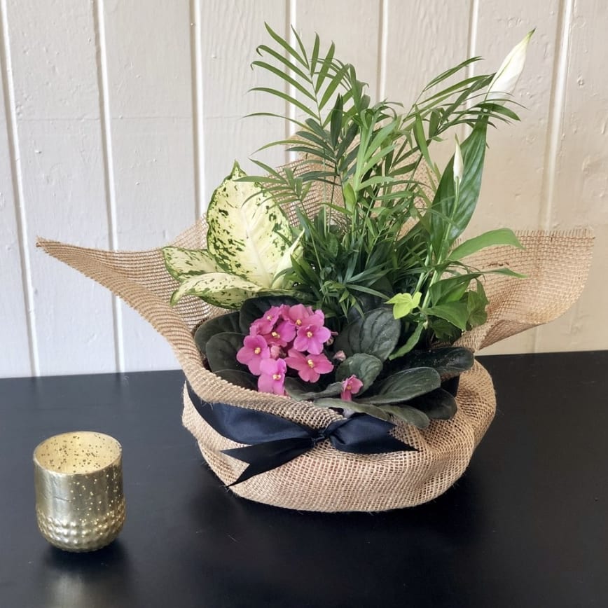 Table Top Garden Flower Delivery Atlanta GA William Paul Floral