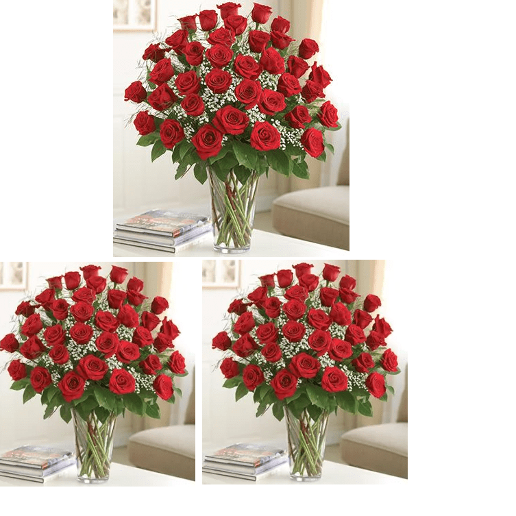 Premium 3 Dozen Long Stem Red Roses
