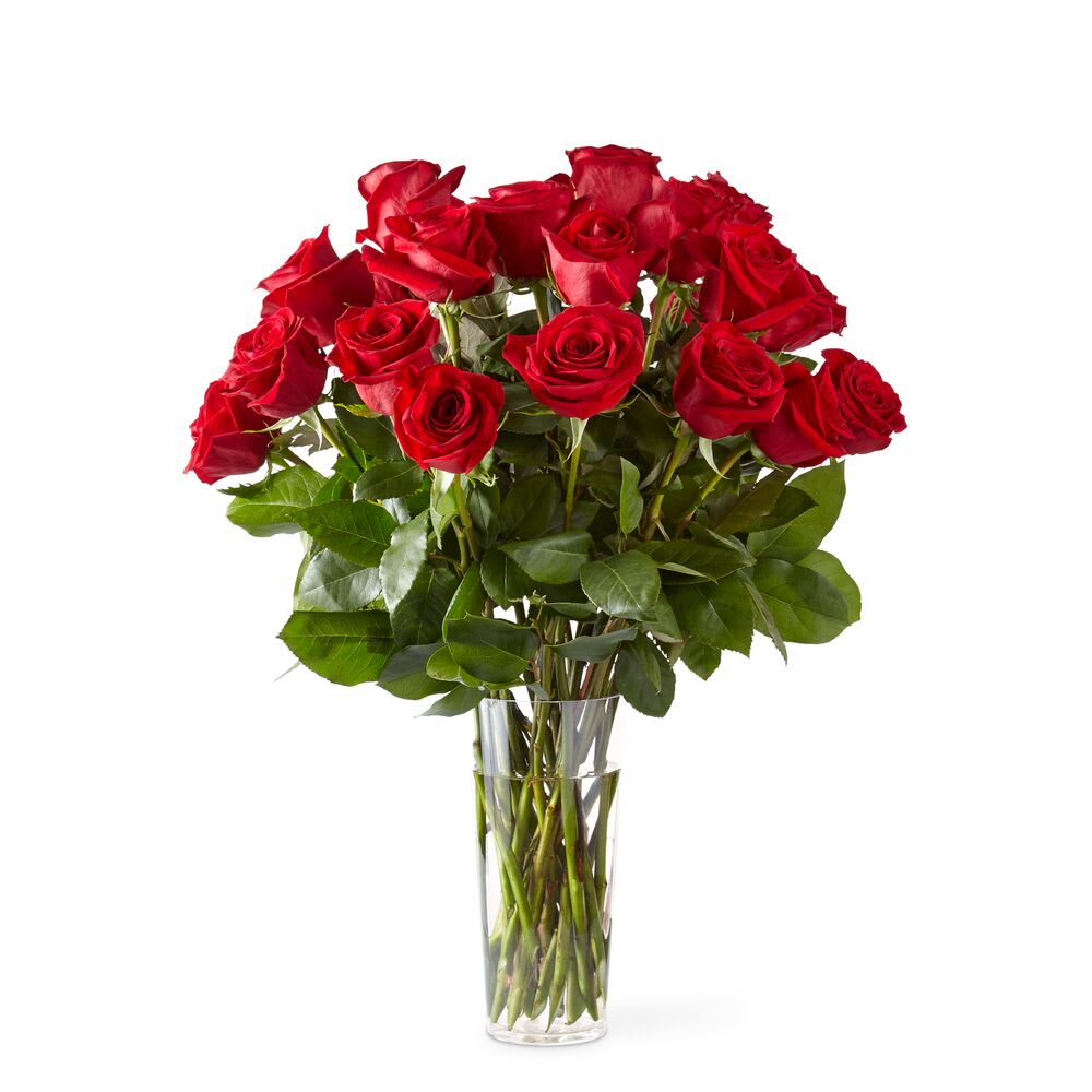 Red Rose Bouquet Flower Delivery Bronx NYC Flowerland NYC