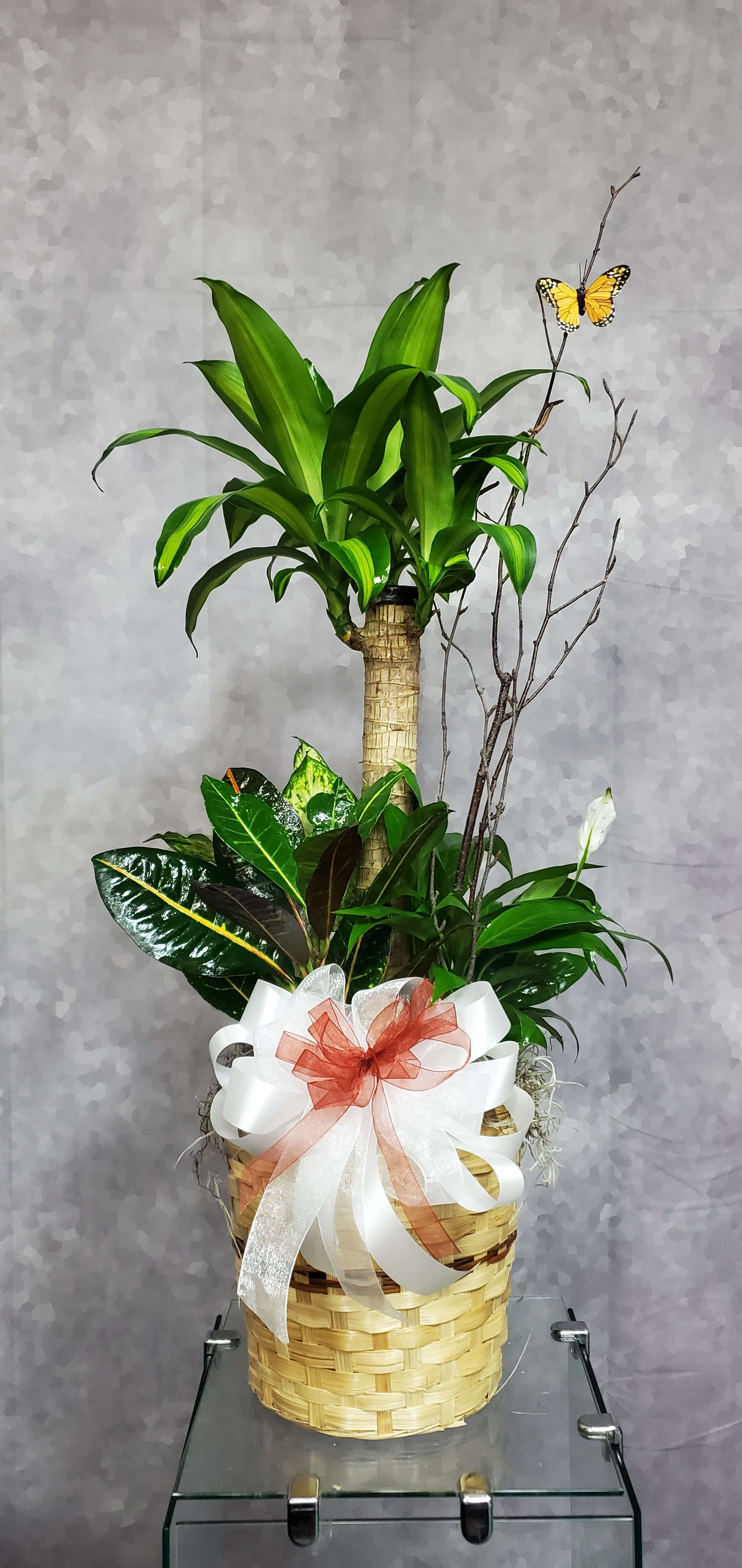 Poohtan　スーちゃんのフラワータペストリーキット 約79cm×79cm Sympathy / Plants Flower Delivery Baytown TX - Bee Hive Florist