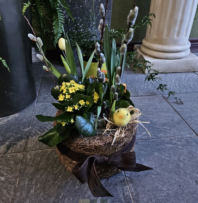 Hoping Easter Flower Delivery Barrie ON Joshua's Greenery