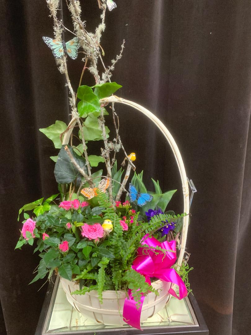 Butterfly Garden Flower Delivery Geneva IL Town & Country Gardens