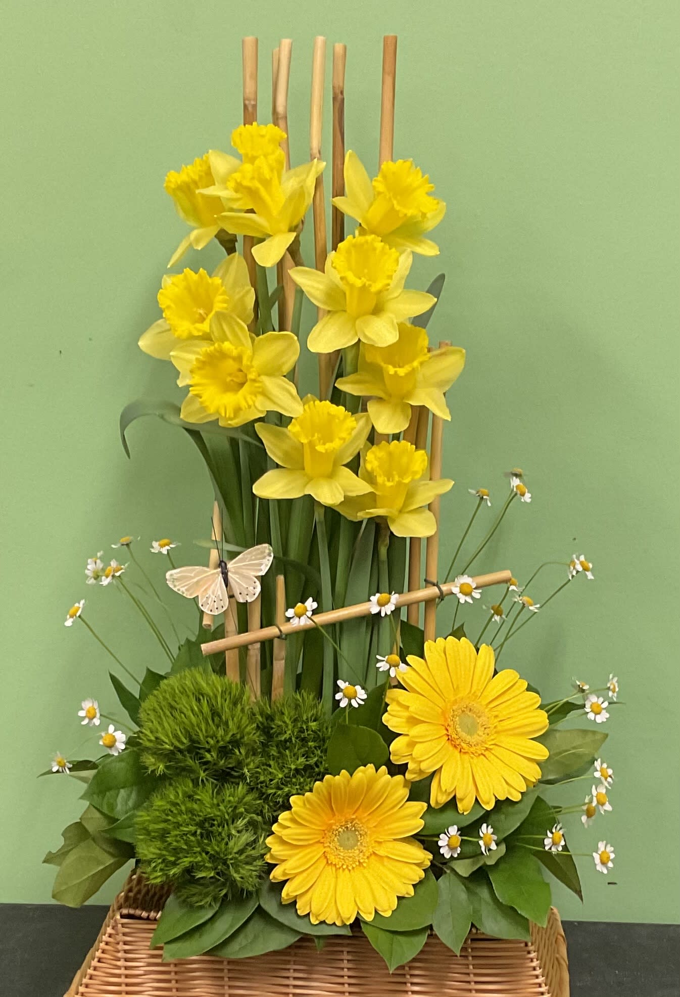 Brilliant Spring Flower Delivery Virginia Beach VA Flowers at Hilltop