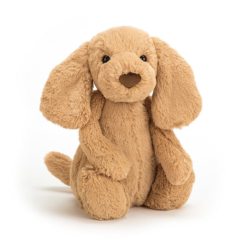 Jellycat Medium Bashful Toffee Puppy - Matlack Florist
