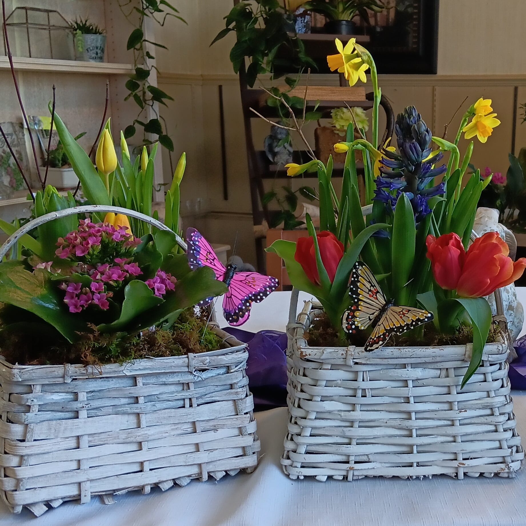 Bulb Basket with Butterfly