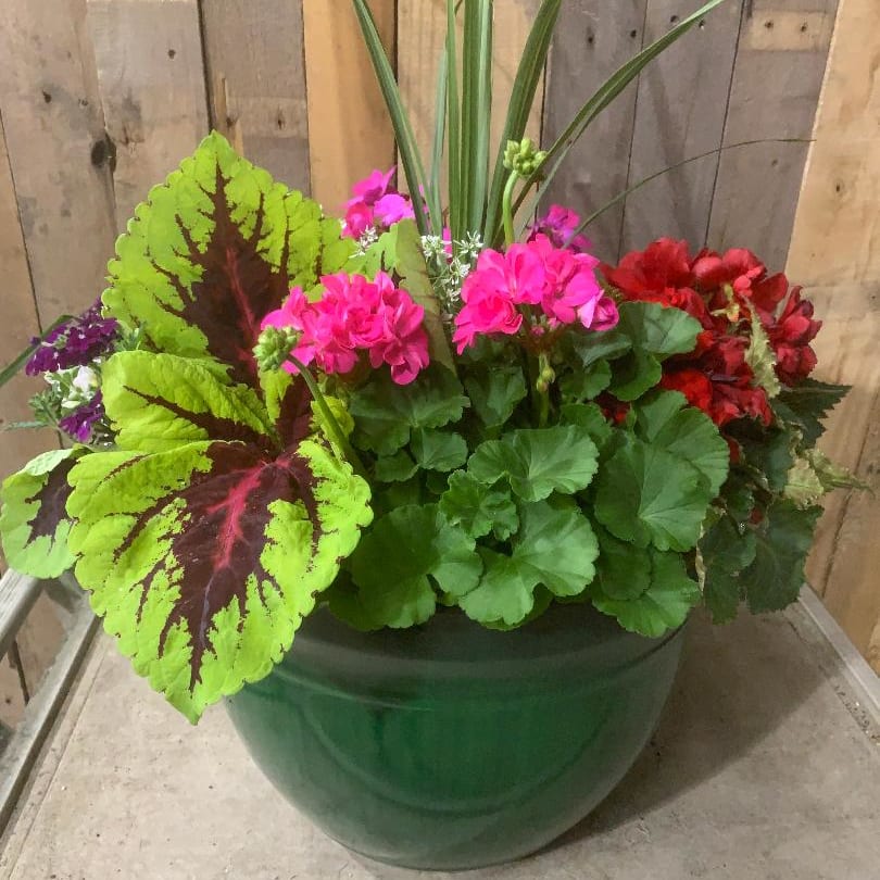 Outdoor Decorative Pot Flower Delivery Geneva IL Town & Country Gardens