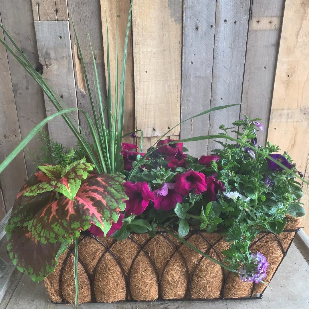 Rectangular Patio Planter Flower Delivery Geneva IL Town & Country