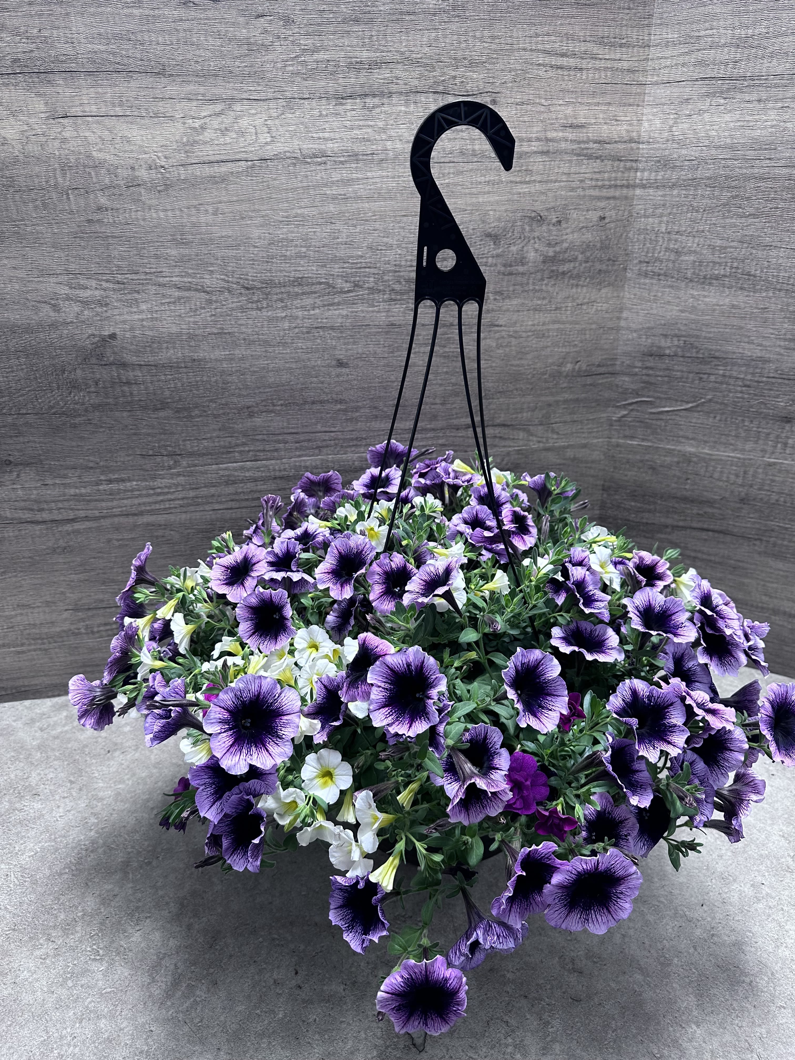 Florist 55364 | 55364 Flower Delivery by Flowerama Saint Paul Florist