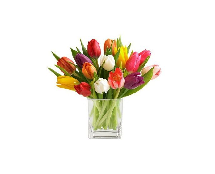 Timeless Tulips Flower Delivery West Islip NY Tom's Towers Flowers