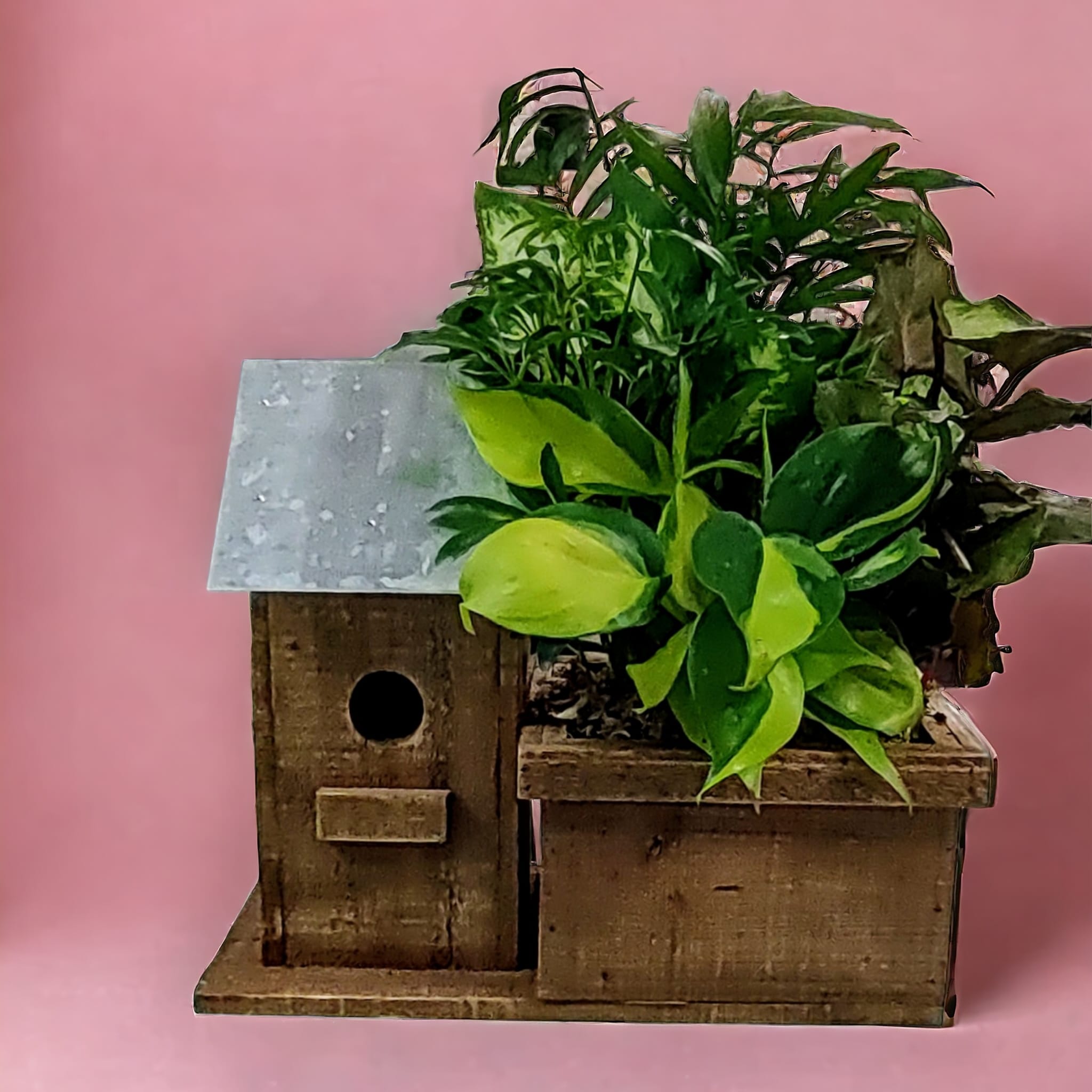 Birdhouse Green Planter Flower Delivery Fort Wayne IN Cottage Flowers Inc