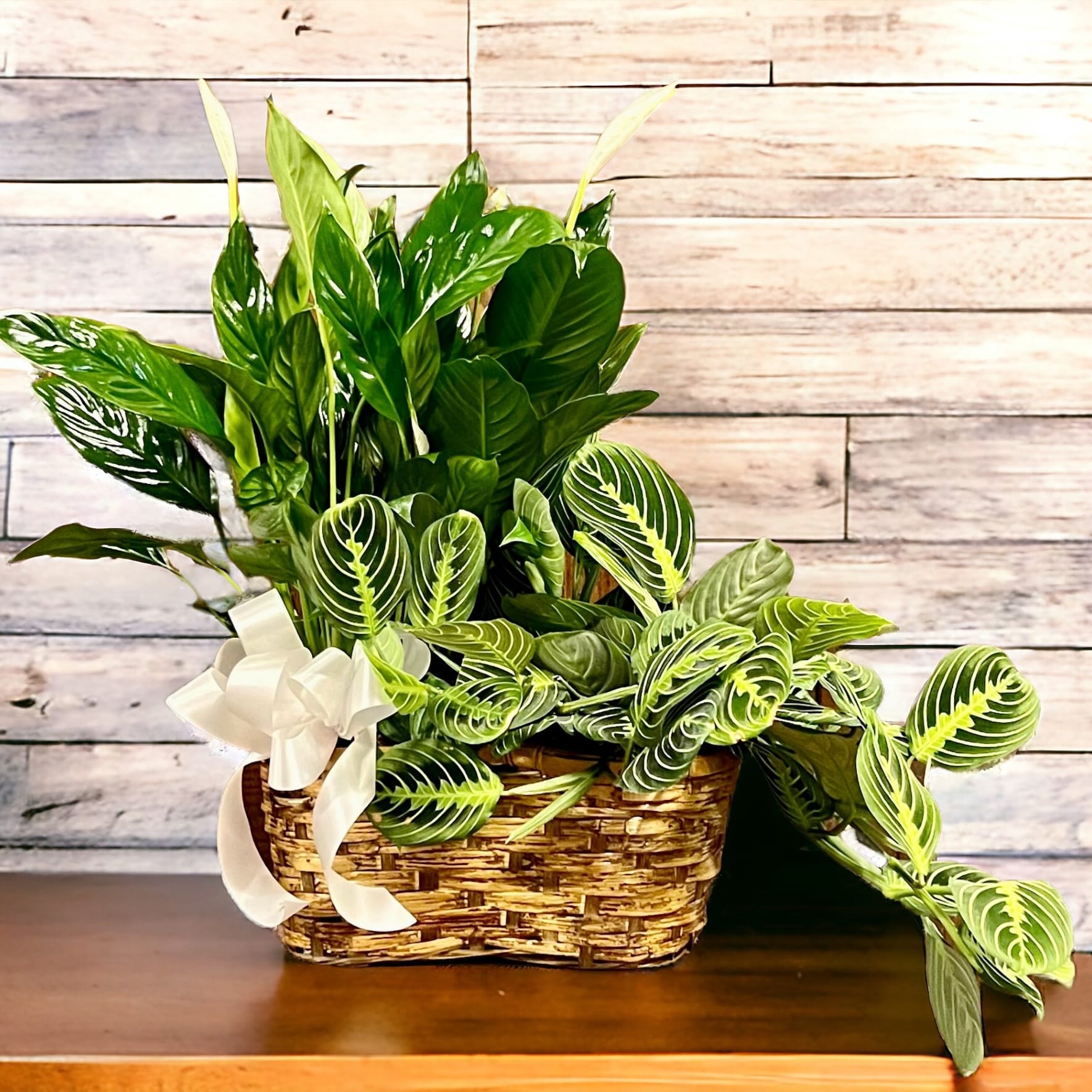 Peace and Prayers Flower Delivery Tulsa OK Mrs. DeHavens Flower Shop