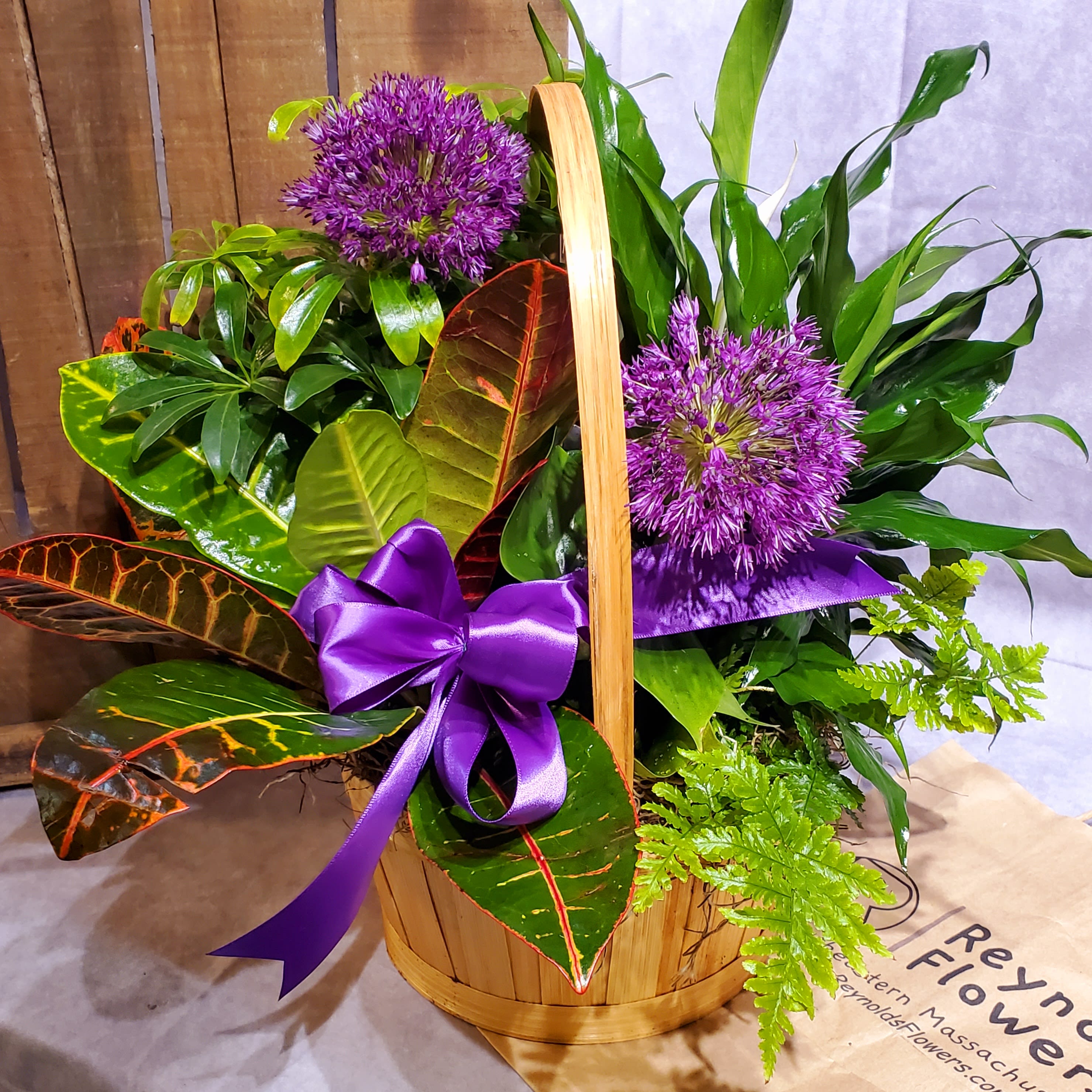 Basket Dish Garden