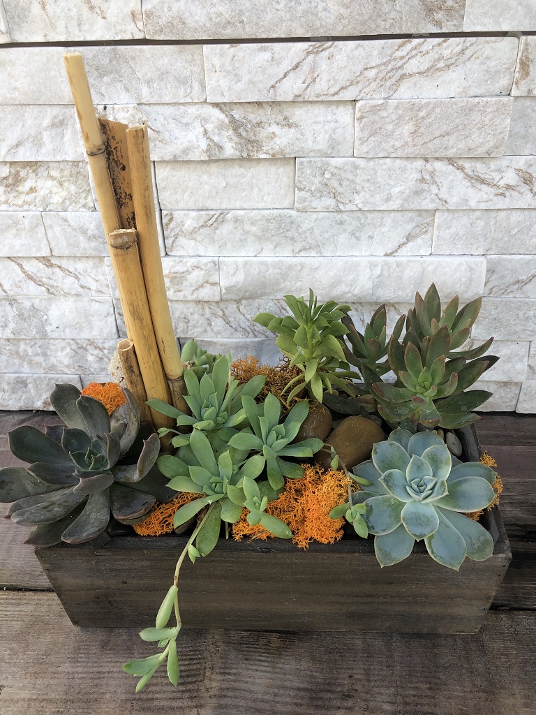 large plastic planter pots 6 Pack Plastic Planter 10.7 inch Large Plant Pot for Outdoor/Indoor Plants,  Modern Flower Pots with Drainage Hole, Large Flower Pot Outdoor for All  House Plants, Succulents, Flowers, and Cactus  Jofamy