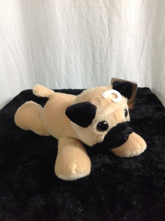 Mr Pugster