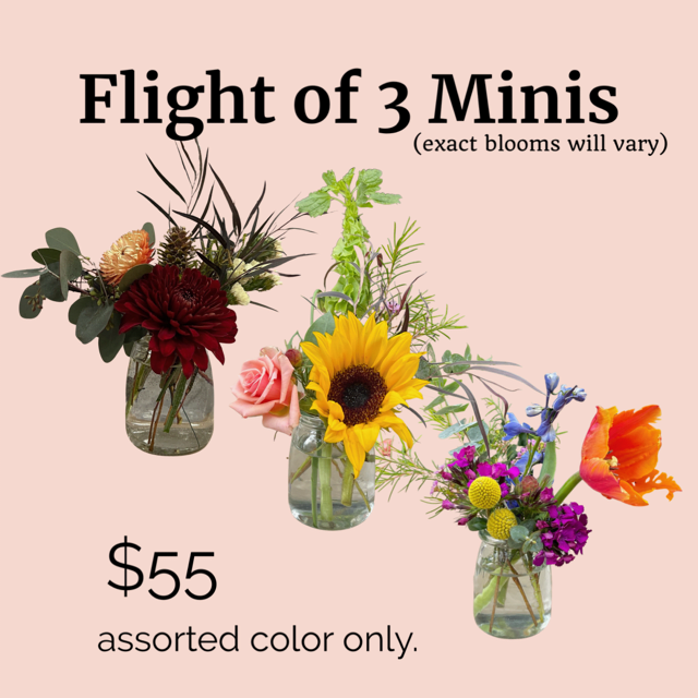 Delivery Flower Delivery Juneau AK Martha’s Flowers & Gifts