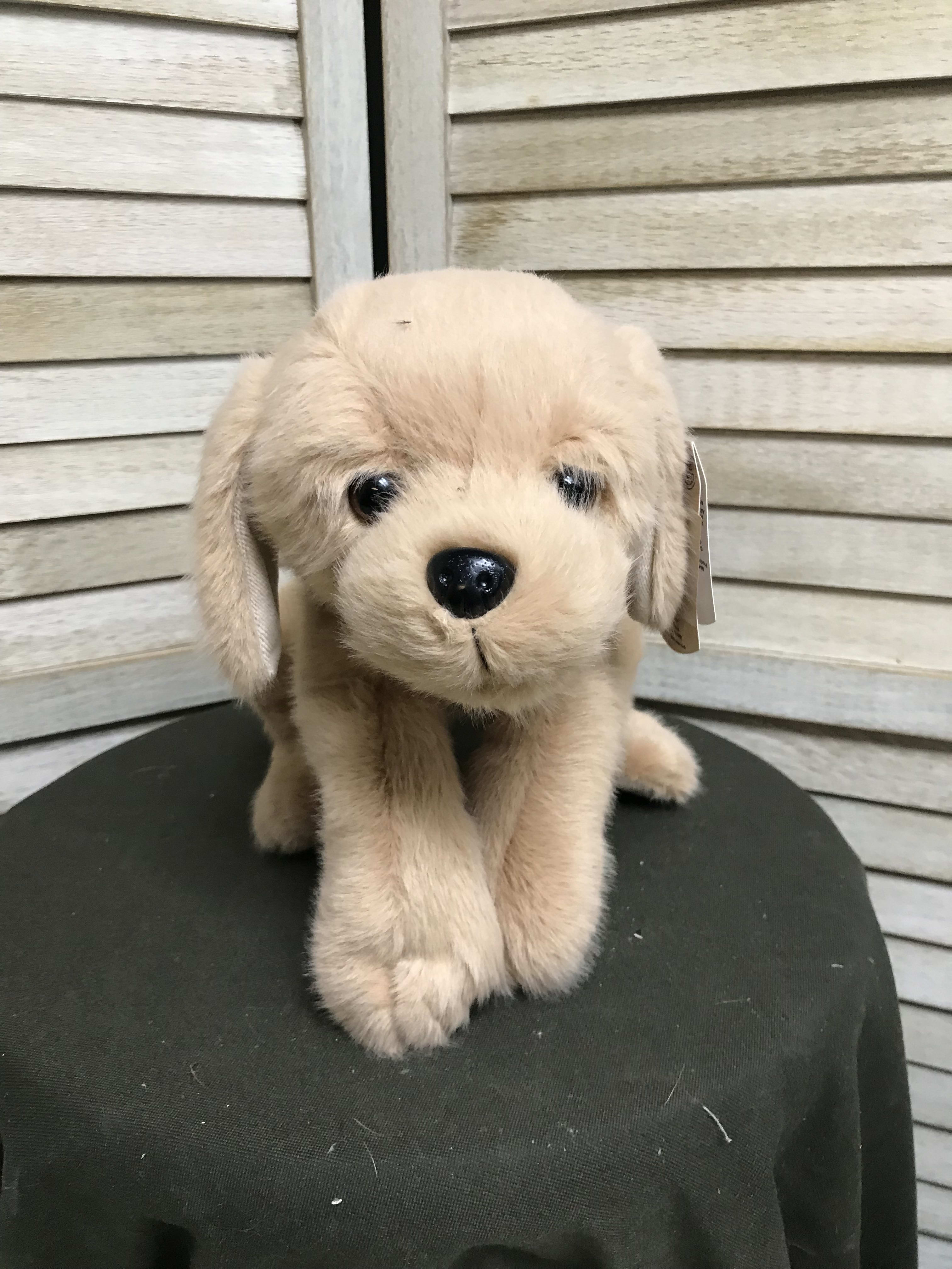 biscuit puppy