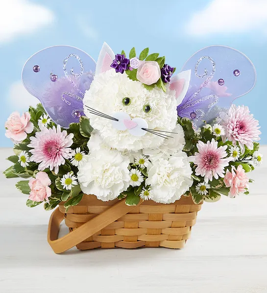 Magical Fairy Cat™ - Send to Bridgeport, CT Today!