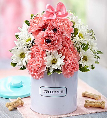 Princess Paws™ in Treats Canister