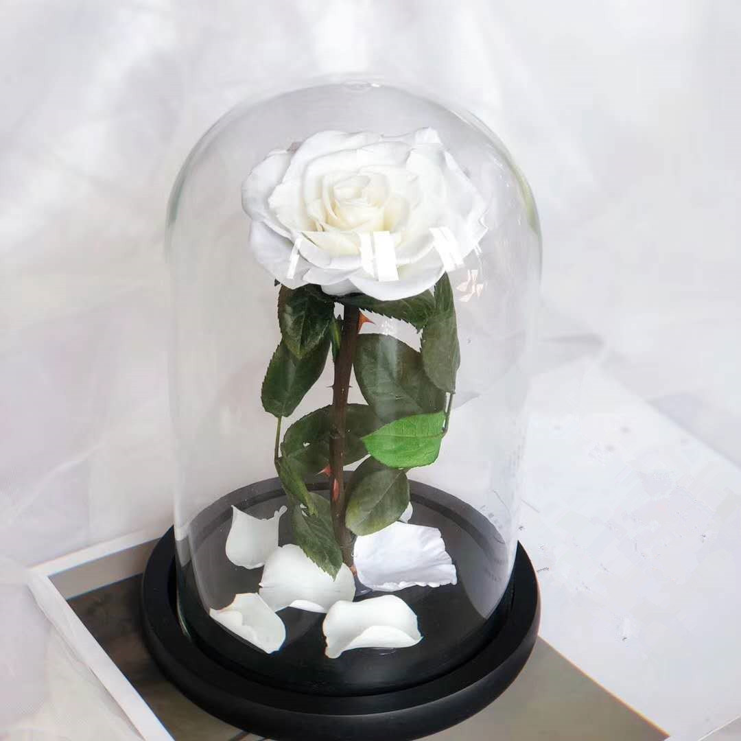 White Rose Dome